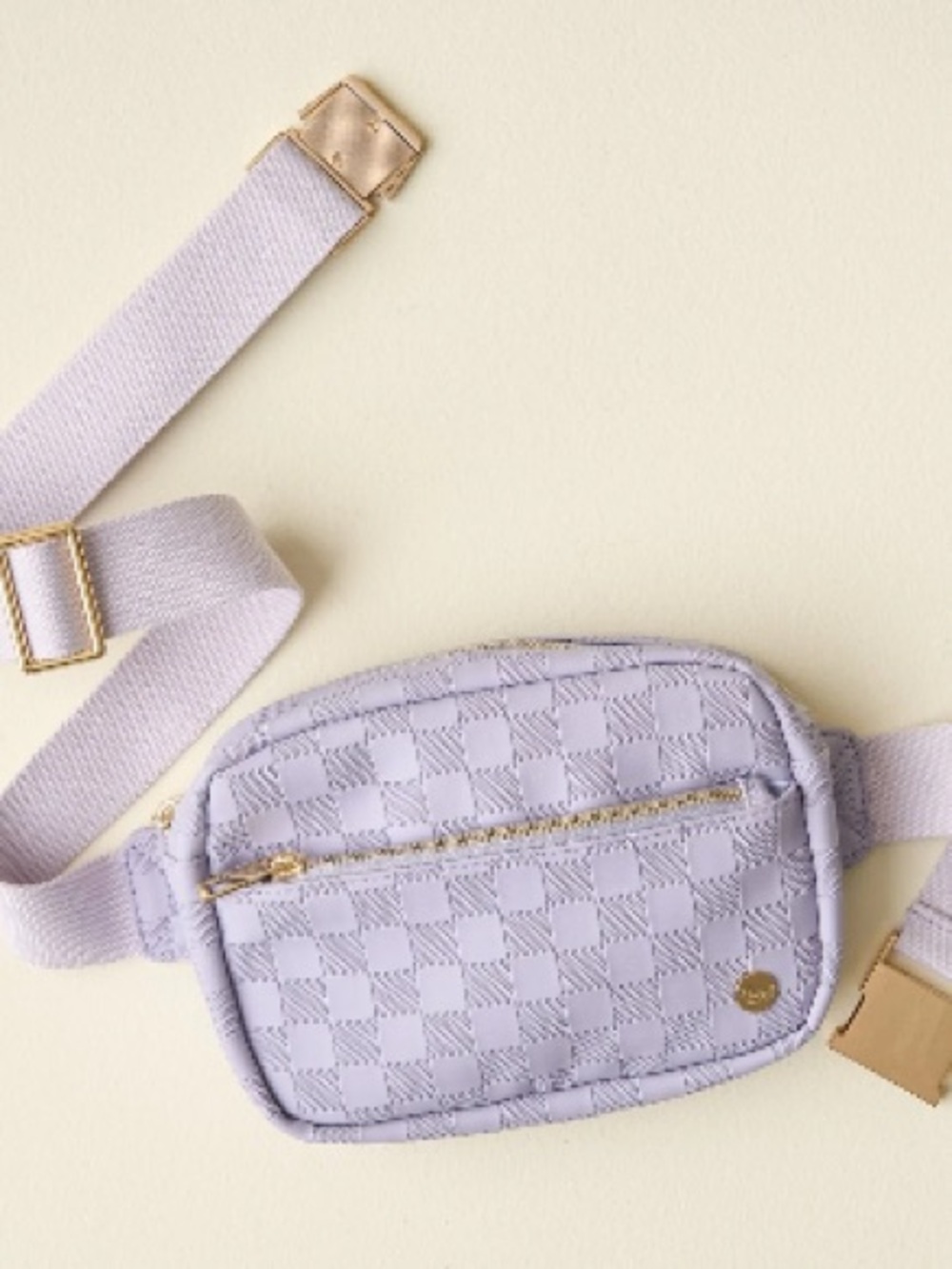 NWT The Darling Effect Periwinkle Urban Check Belt Bag